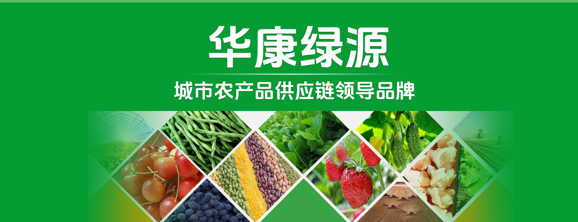 华康绿源-城市农产品供应链领导品牌